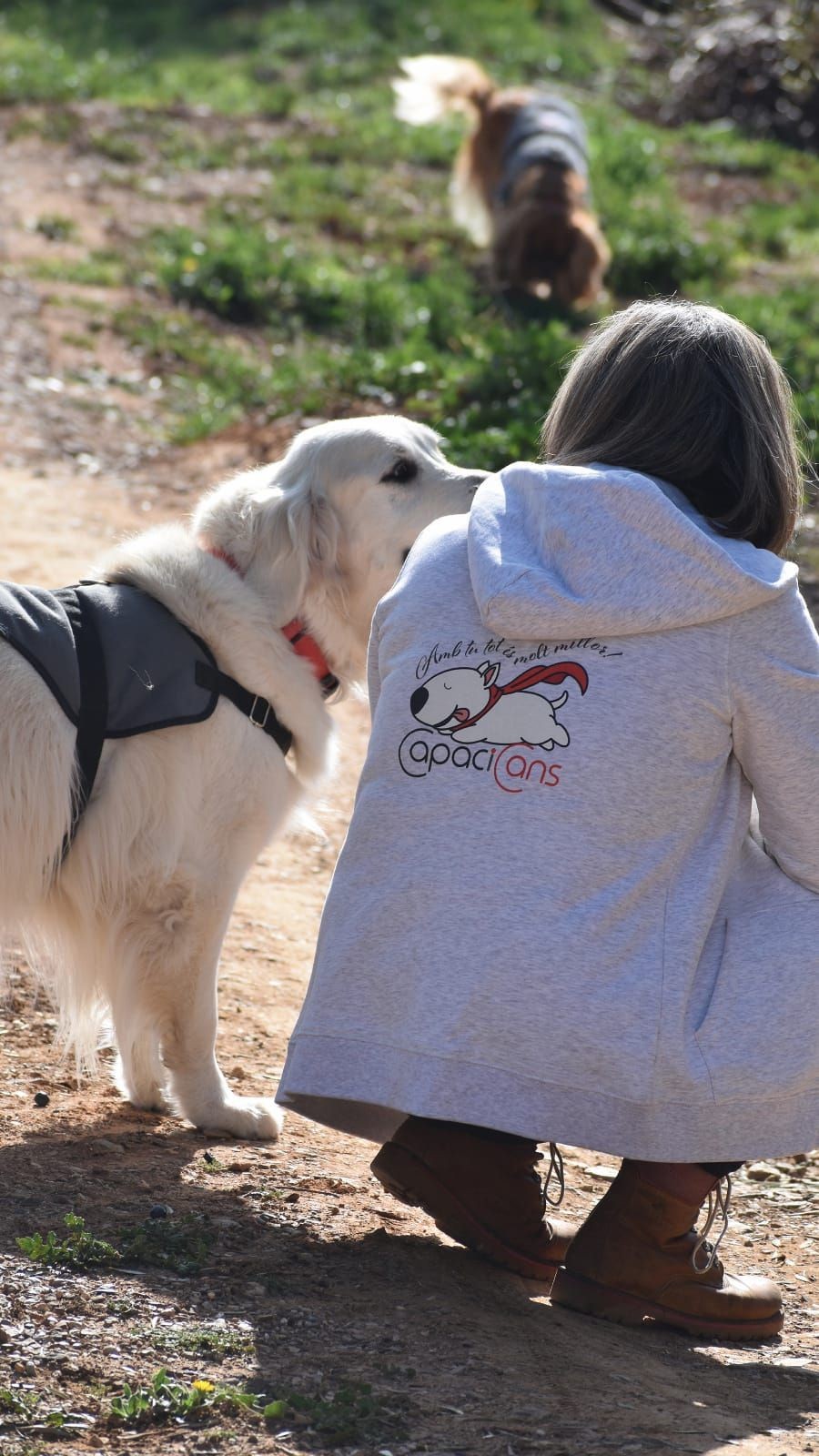 Gos golden retriever blanc somrient mirant a Tecnica en Terapies assistides amb animals. Logo Capacicans. Teràpia Assistida amb Animals Tarragona. Teràpia Assistida amb Animals Barcelona. Teràpia amb Animals per a Gent Gran. Teràpia amb Animals per a Autisme.  Millora de Benestar amb Animals. Sessions de Teràpia amb Animals Tarragona. Sessions de Teràpia amb Animals Barcelona. Professionals de Teràpia amb Animals Barcelona. Professionals de Teràpia amb Animals Tarragona.